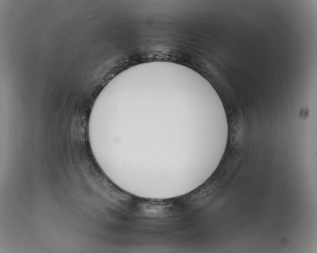 X0000111660661200908071434