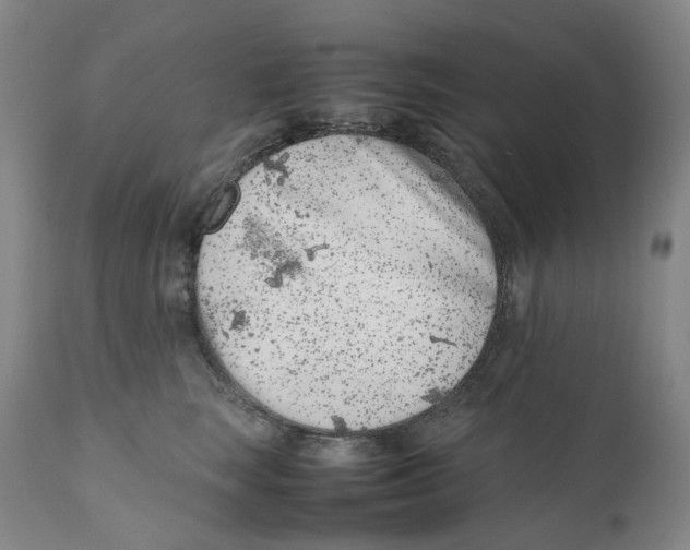 X0000111660663200908071434