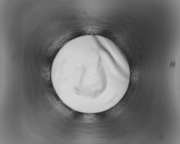 X0000111660666200908071434