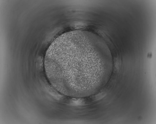 X0000111660667200908071434