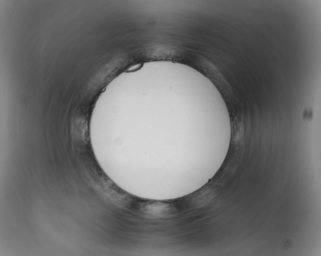 X0000111660669200908071434