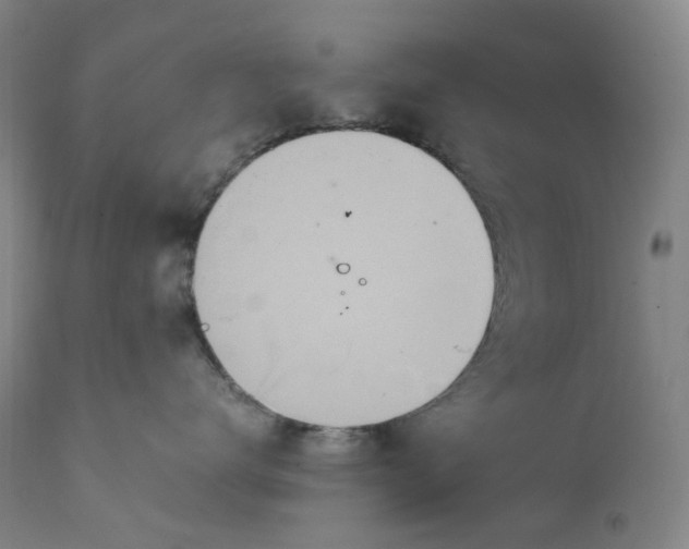 X0000111660672200908071434