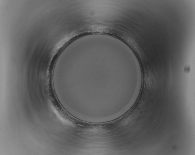 X0000111660674200908071434