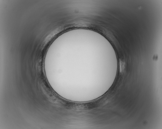 X0000111660675200908071434