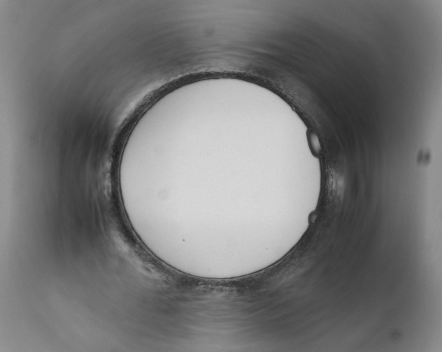 X0000111660676200908071434