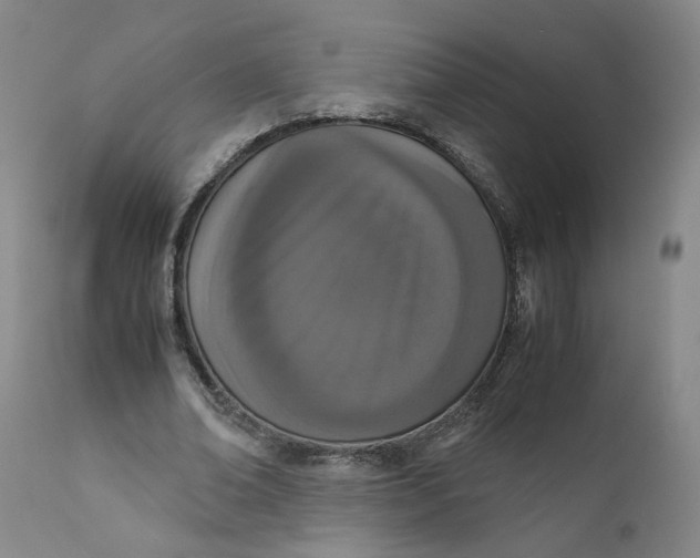 X0000111660678200908071434