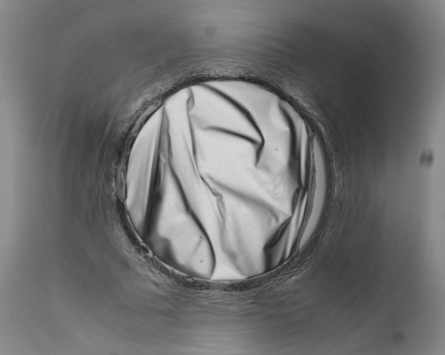 X0000111660681200908071434