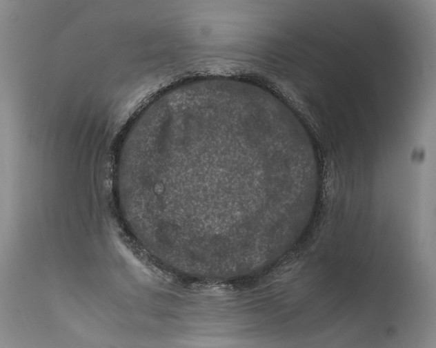 X0000111660683200908071434