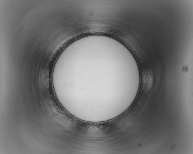 X0000111660684200908071434