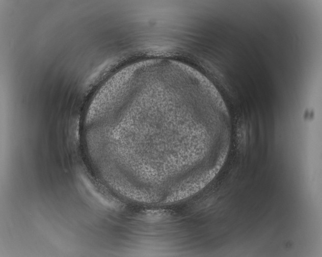 X0000111660686200908071434