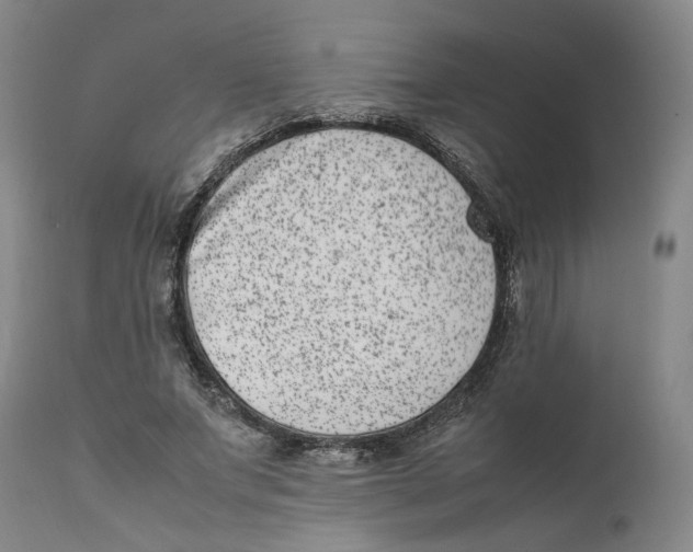 X0000111660687200908071434