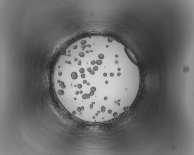 X0000111660688200908071434