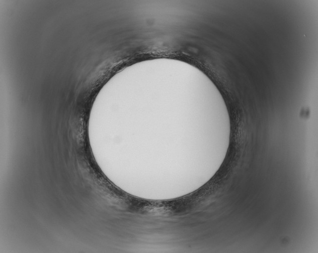 X0000111660689200908071434