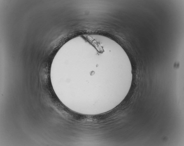 X0000111660691200908071434