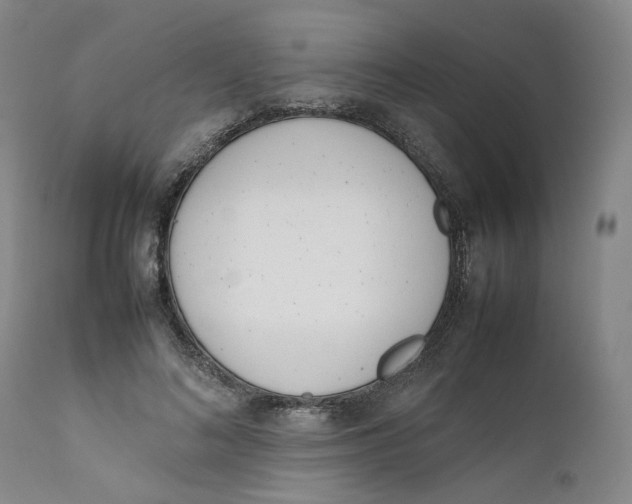 X0000111660692200908071434