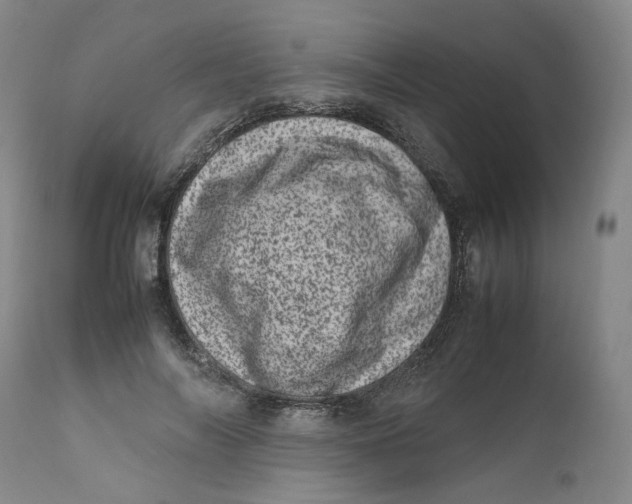 X0000111660694200908071434