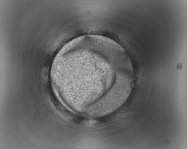 X0000111660695200908071433