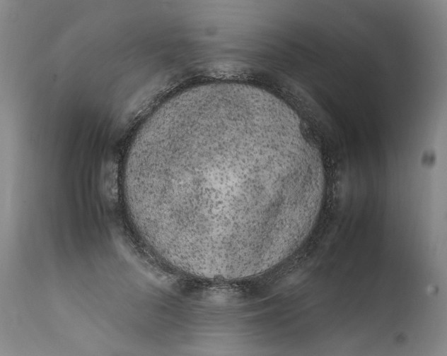 X0000111660696200908071433