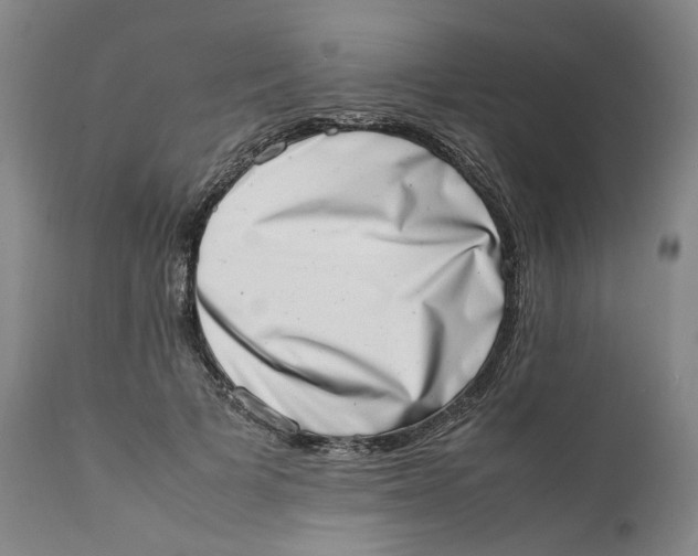 X0000111660697200908071433