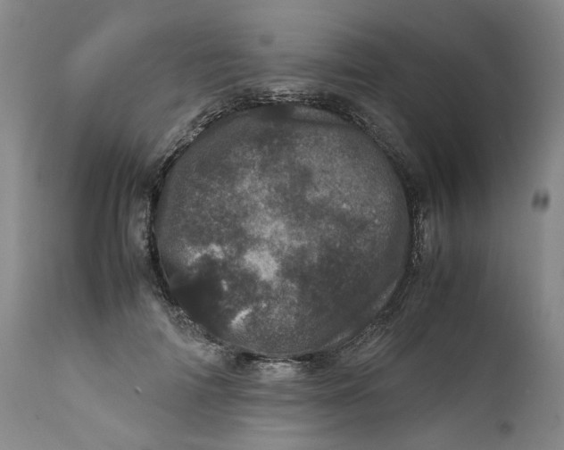 X0000111660698200908071433