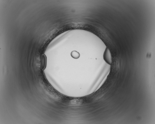 X0000111660700200908071433