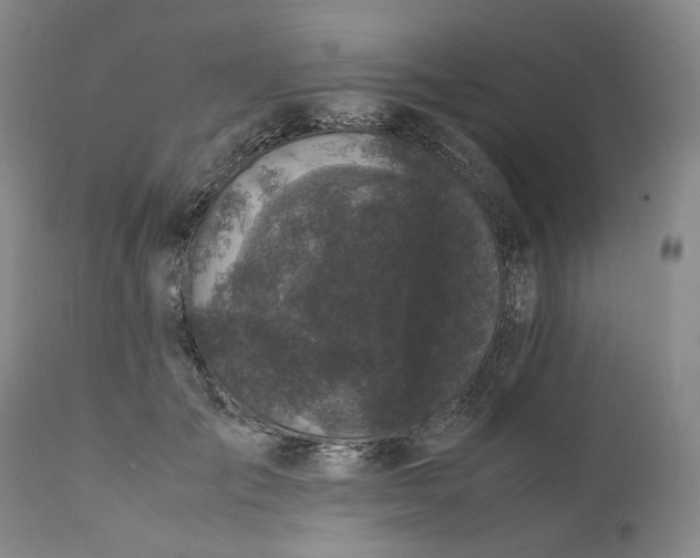 X0000111660701200908071433