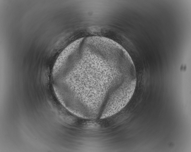 X0000111660702200908071433