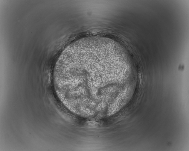 X0000111660703200908071433