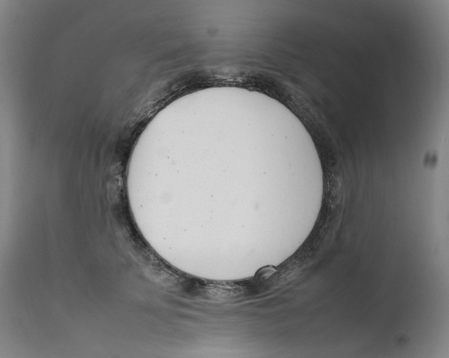 X0000111660707200908071433