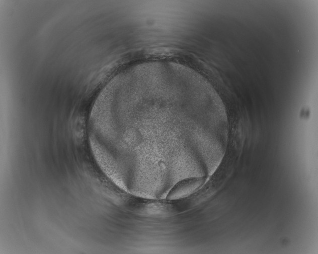 X0000111660708200908071433