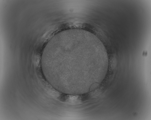 X0000111660709200908071433