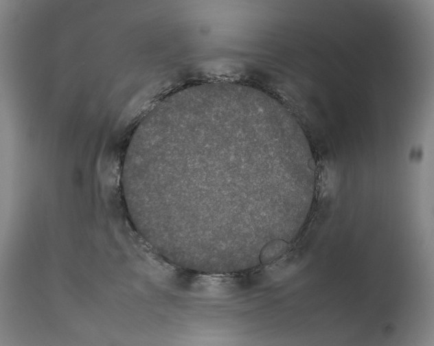 X0000111660713200908071433