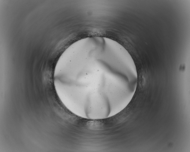 X0000111660714200908071433