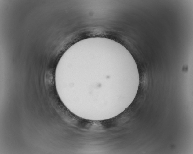 X0000111660715200908071433