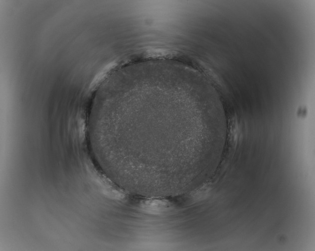 X0000111660716200908071433