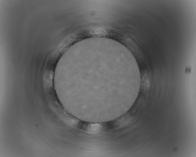 X0000111660717200908071433