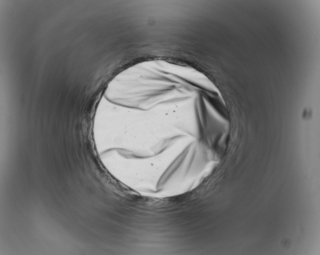 X0000111660720200908071433