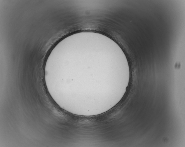 X0000111660721200908071432