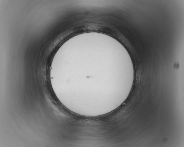 X0000111660722200908071432