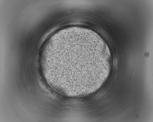 X0000111660724200908071432