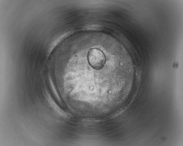 X0000111660725200908071432