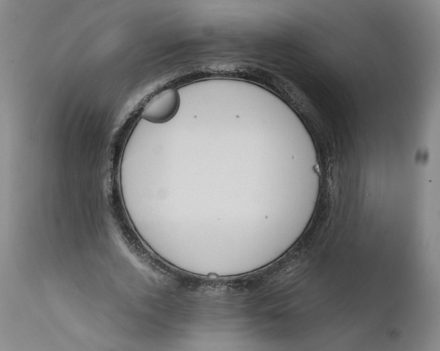 X0000111660728200908071432