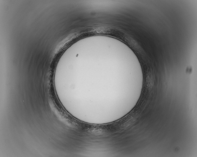 X0000111660730200908071432