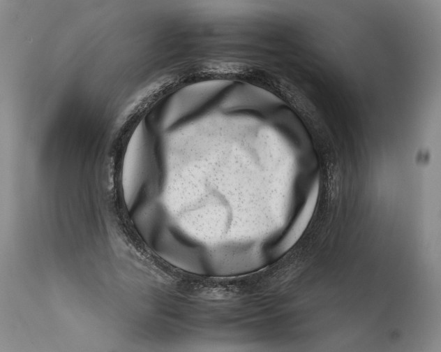 X0000111660731200908071432