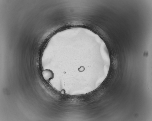 X0000111660732200908071432