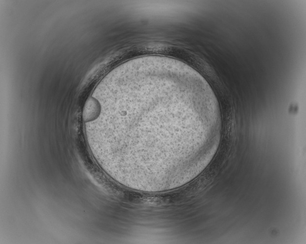 X0000111660736200908071433