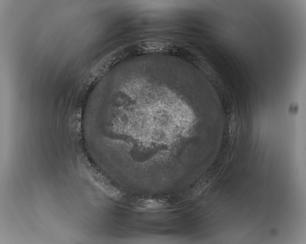 X0000111660737200908071433