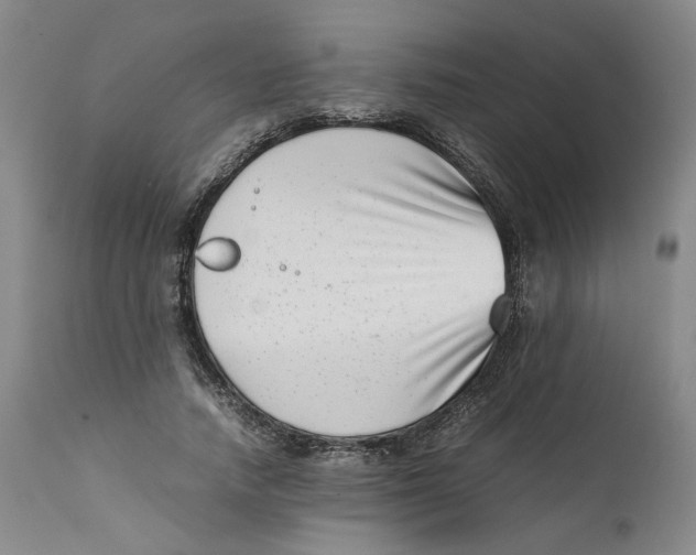 X0000111660738200908071433