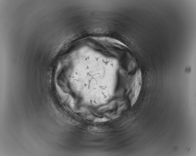 X0000111660739200908071433