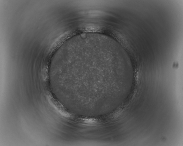 X0000111660741200908071433